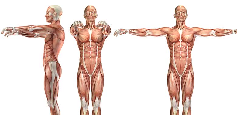 Osteoporotik Üst Ekstremite